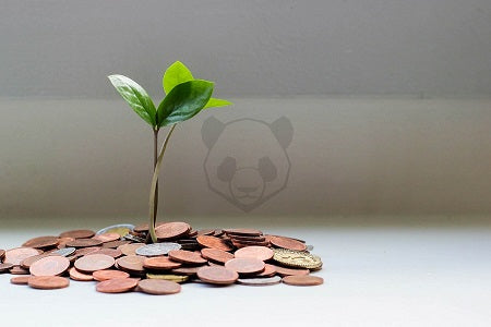 Geld sparen: 16 Spartipps für einen nachhaltigeren Alltag